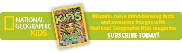 Subscribe to National Geographic Kids magazine