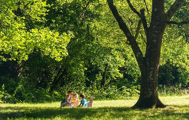 The Woodland Trust back to school