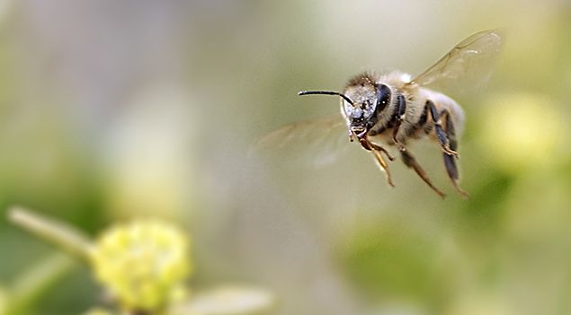 25 fajnych rzeczy o błędach!