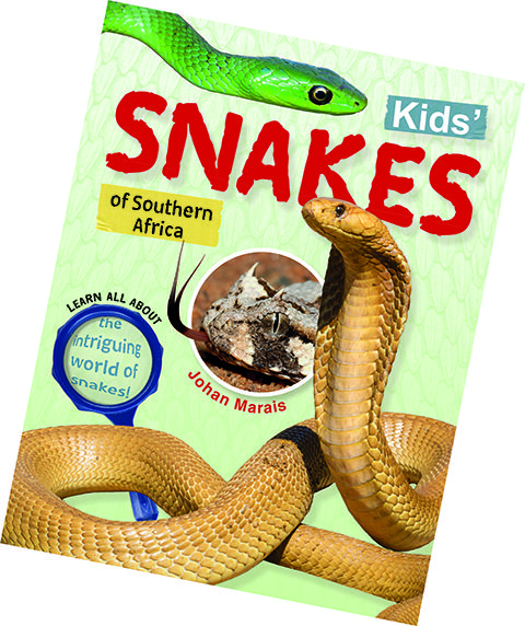 Kids Snakes Of Southern Africa National Geographic Kids