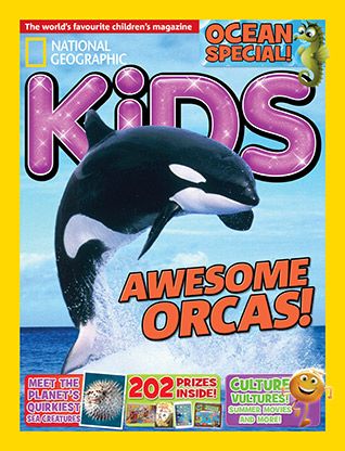 Killer Whale Facts For Kids National Geographic Kids